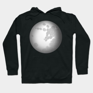 Mare in the Moon Hoodie